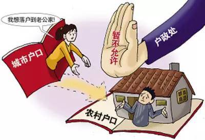 政策解读与指南