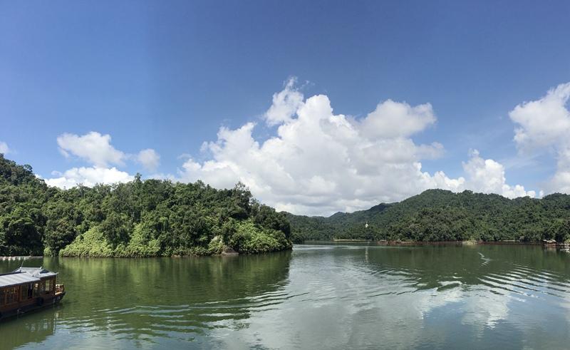 探索自然美景治愈之旅