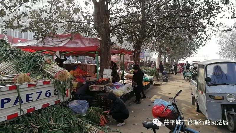 茌平贴吧最新消息🌟实时更新，掌握最新动态