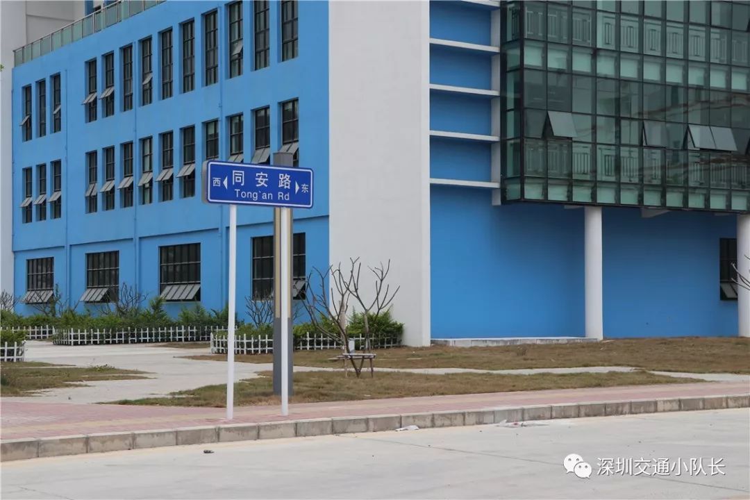 杭电股份最新动态与小巷深处的独特风味揭秘