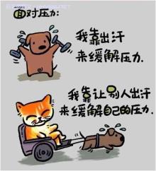 笑迎学习变化，自信闪耀人生，最新搞笑荟萃