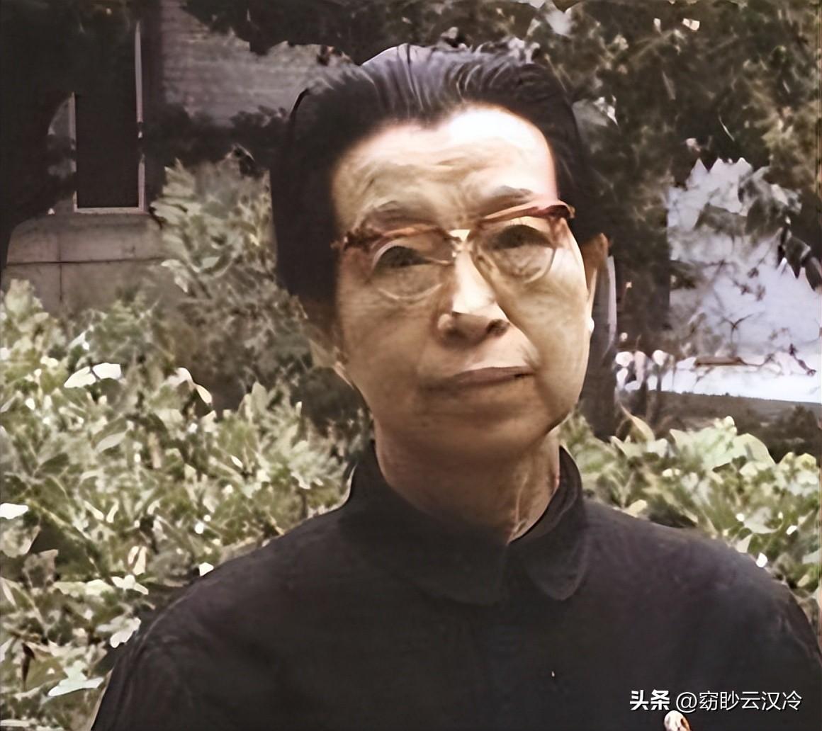 时代浪潮中的影像印记，最新更新视频概览