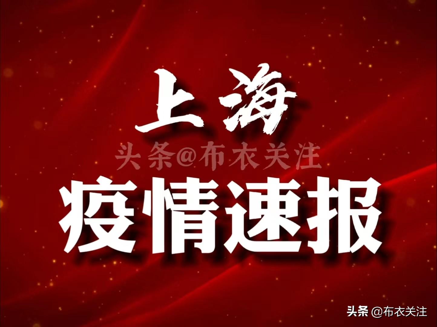 上海疫情最新通报及观点论述
