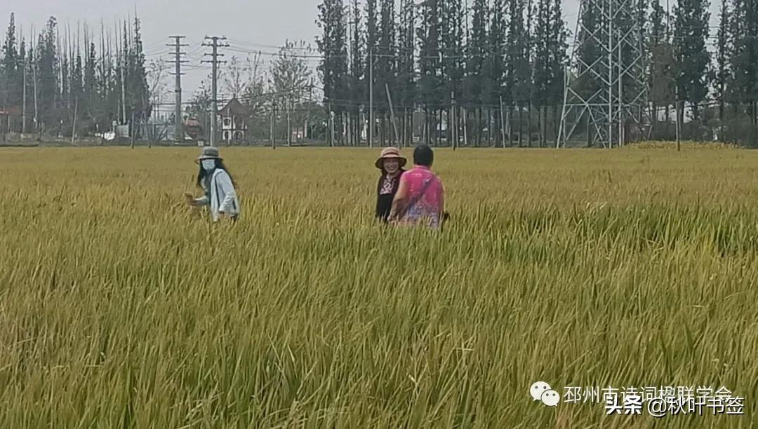 收获自信与成就感的力量