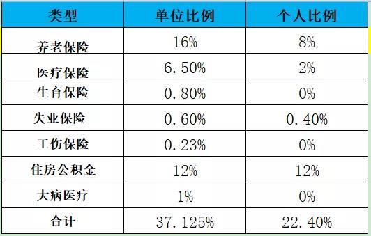 劳务派遣最新政策下的日常故事，温馨生活的变迁与适应之路