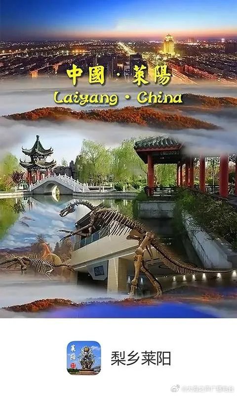 莱阳最新招聘信息，时代的脉搏与地方繁荣的交汇点