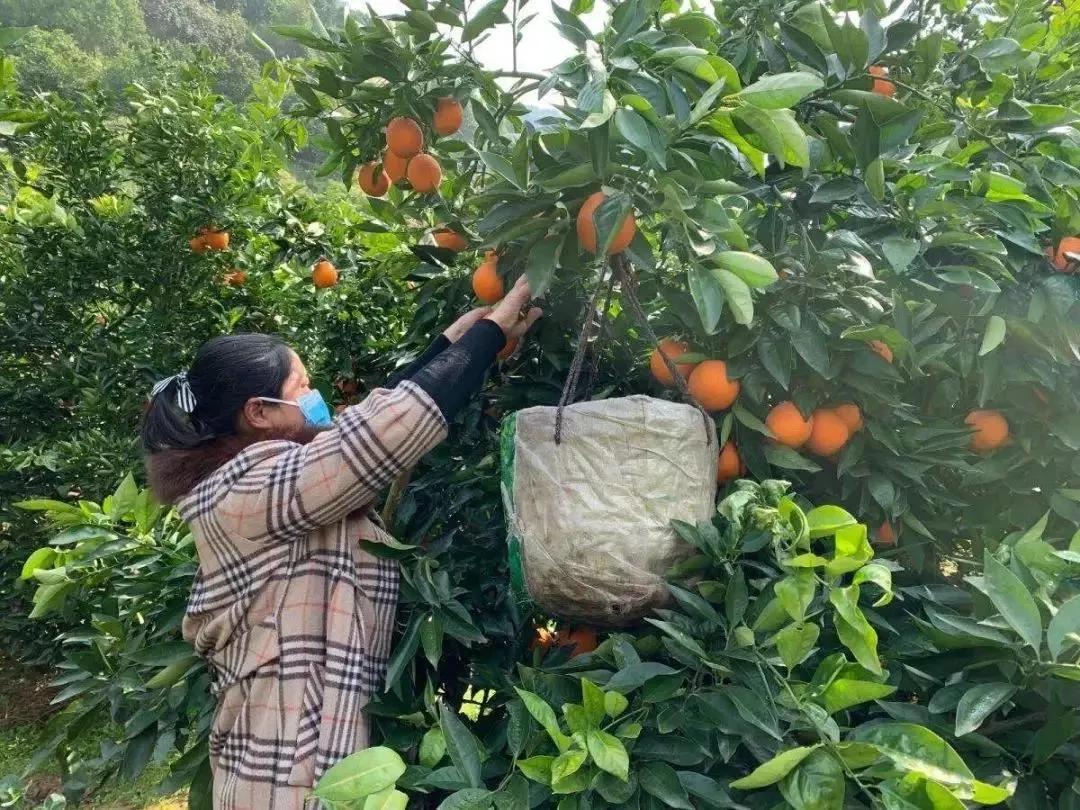 合川最新招聘信息速递，职位更新与求职指南🚀📢