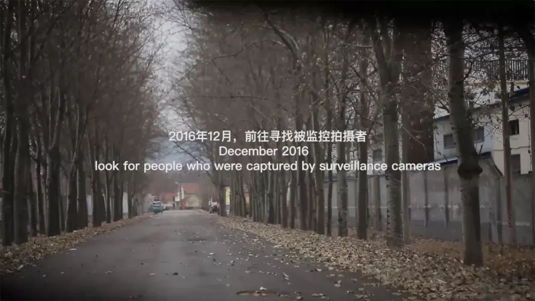 励志大片下载，蜕变与自信的光辉闪耀之路