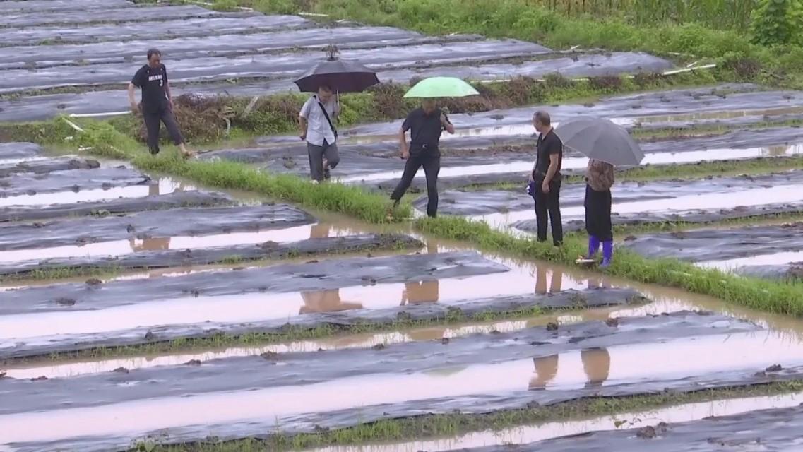 实时更新/最新消息