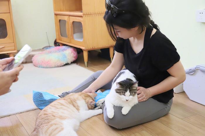 猫咪官网最新更新