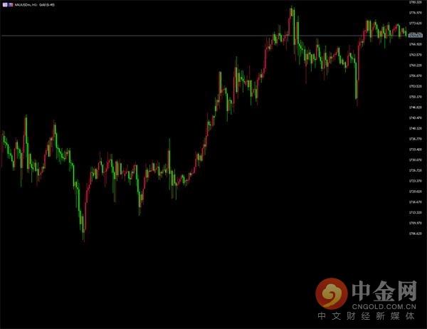最新现货观点论述概览